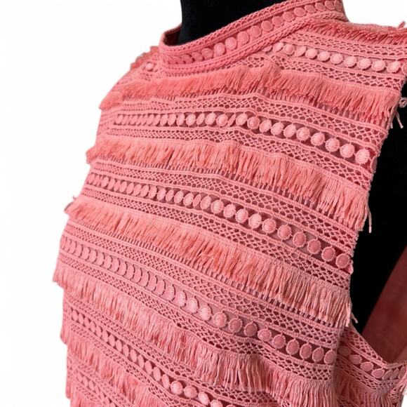 J. Crew Pink Embroidered Fringe Sheath Dress Summer Office Business Casual Sz 10 - Picture 7 of 14